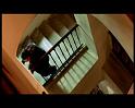 PDVD_1233