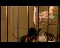 PDVD_1265