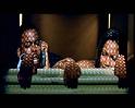 PDVD_1296