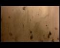 PDVD_1665