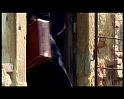 PDVD_1695