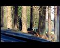 PDVD_1779