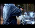 PDVD_1786