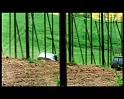 PDVD_1810