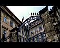 PDVD_1890