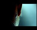 PDVD_2227