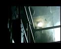 PDVD_2474