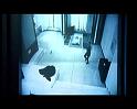 PDVD_497