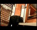 PDVD_561