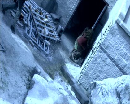 PDVD_1202.jpg