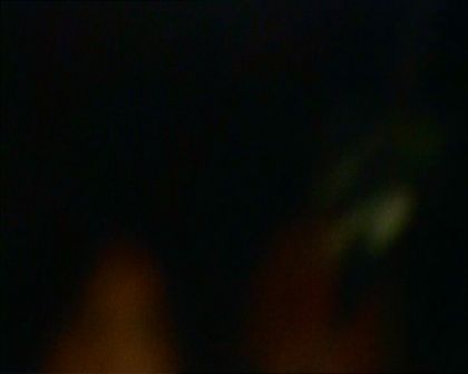 PDVD_1556.jpg
