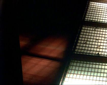 PDVD_1607.jpg