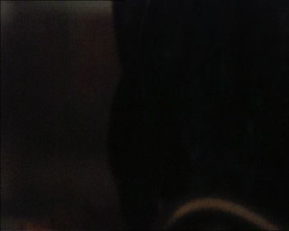 PDVD_1680.jpg