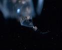 PDVD_1310