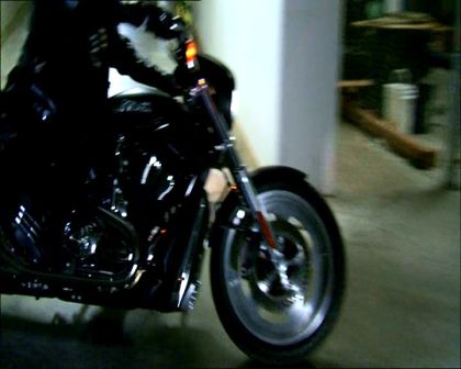 PDVD_019.jpg