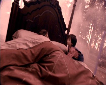 PDVD_1161.jpg
