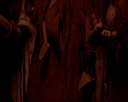 PDVD_1199.jpg