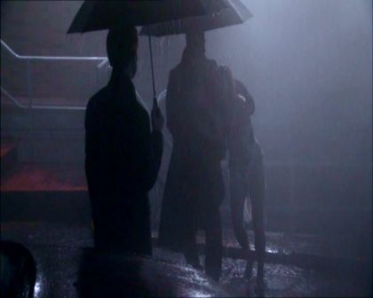 PDVD_1249.jpg
