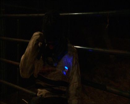 PDVD_1558.jpg