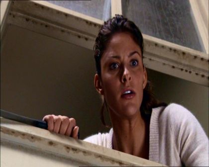 PDVD_313.jpg