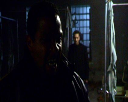 PDVD_531.jpg