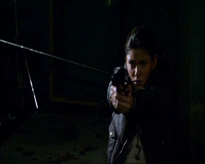 PDVD_533.jpg