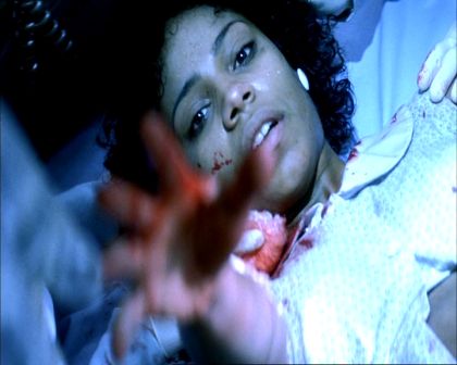 PDVD_639.jpg