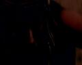 PDVD_1194