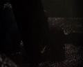 PDVD_1242