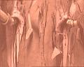 PDVD_1296