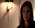 PDVD_1868