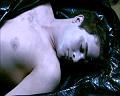 PDVD_211