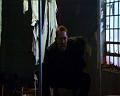 PDVD_552