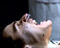 PDVD_754