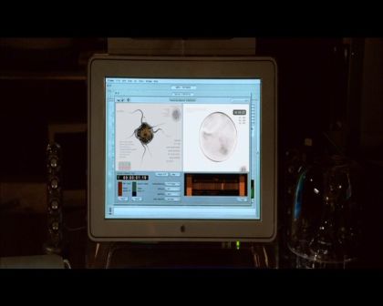 PDVD_1047.jpg
