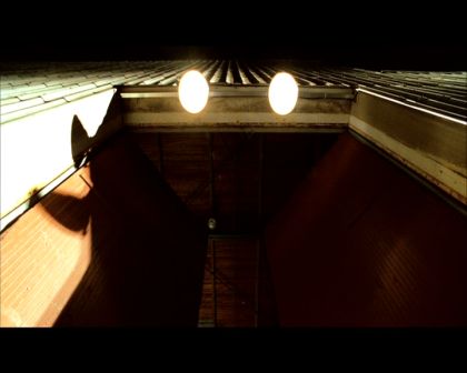 PDVD_1543.jpg