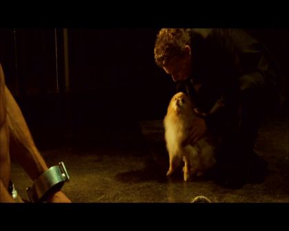 PDVD_1778.jpg