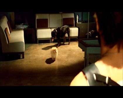 PDVD_2242.jpg