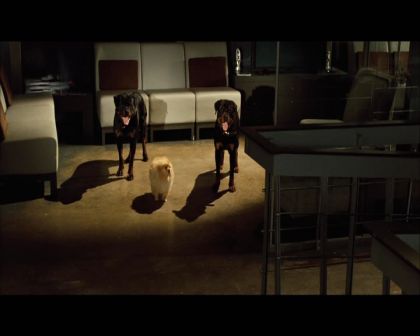 PDVD_2249.jpg