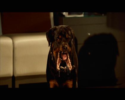 PDVD_2254.jpg