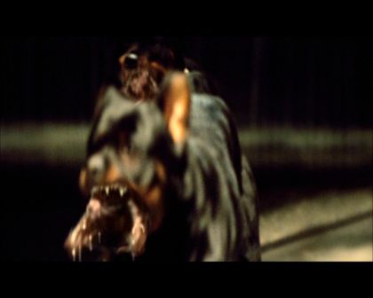 PDVD_2272.jpg
