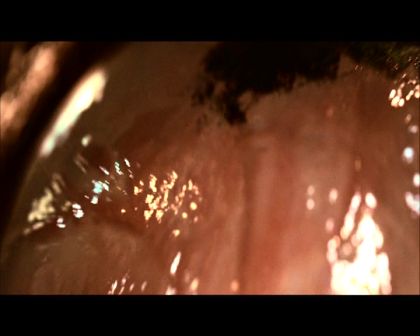PDVD_2579.jpg