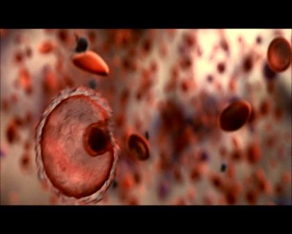 PDVD_2598.jpg