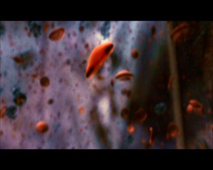 PDVD_2606.jpg