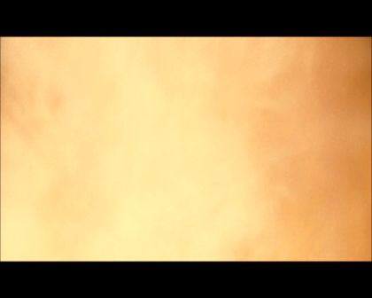 PDVD_544.jpg