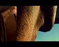 PDVD_1141