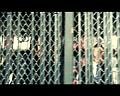 PDVD_1279