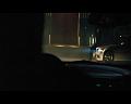 PDVD_1494