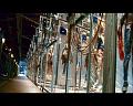 PDVD_1559