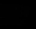 PDVD_1674